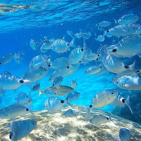 La Chimera Apartmán