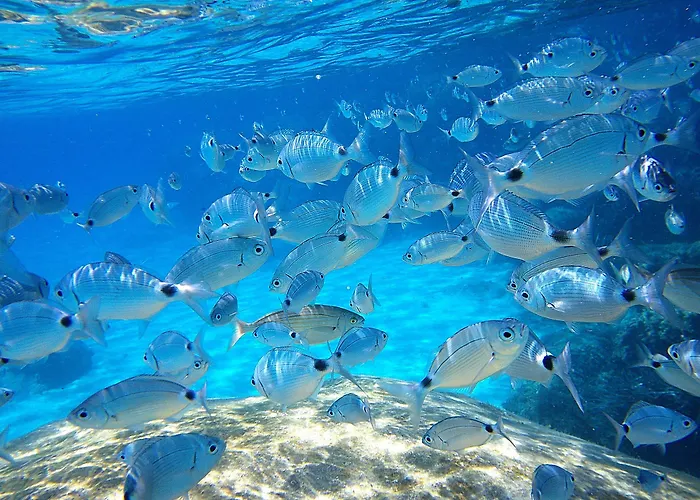 La Chimera Lejlighed